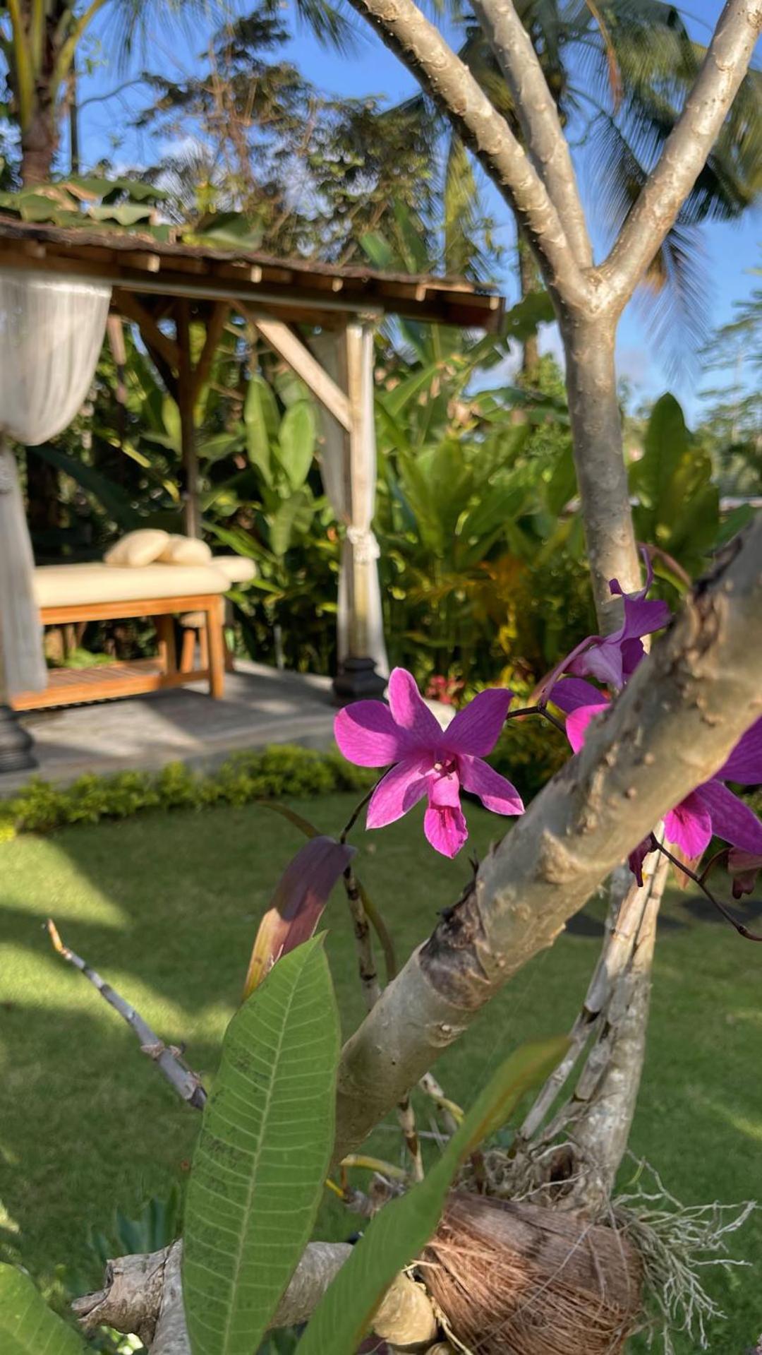 טגלאלאנג Hatiku Di Bali - Ubud מראה חיצוני תמונה